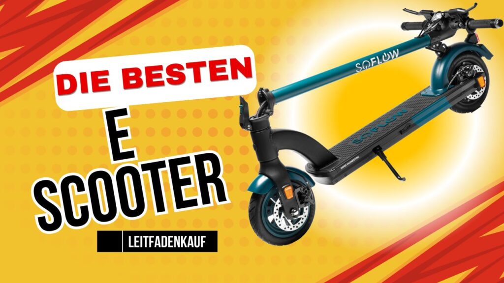 Test E Scooter Mit Strassenzulassung